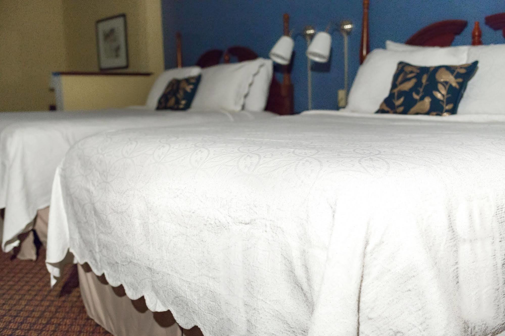 ซูเปอร์ 8 บาย วินด์แฮม ไฮพอยต์/กรีนส์โบโร Hotel ไฮพอยท์ ภายนอก รูปภาพ